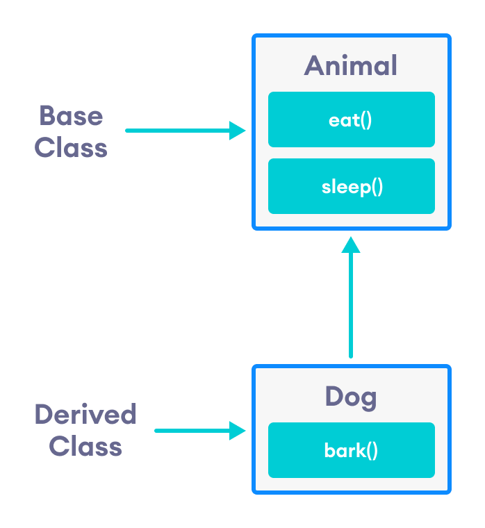 Dog 类继承自 Animal 类